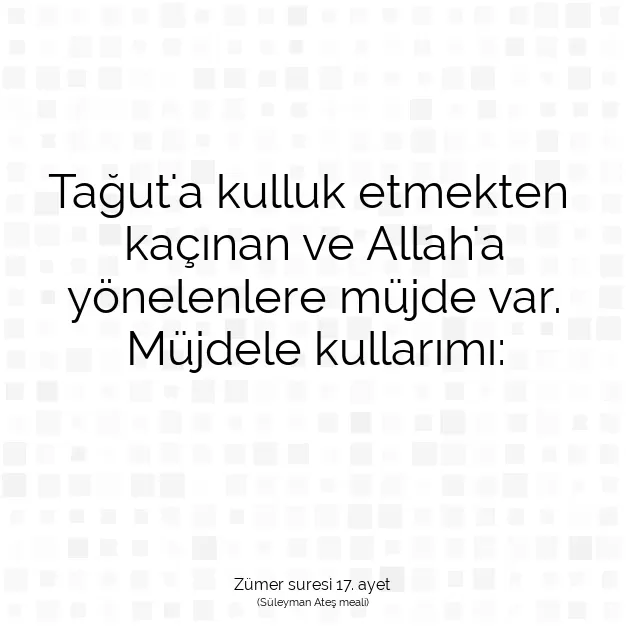 Ayetbul | Kuran Mealleri | Quran | Zümer suresi 17. ayet