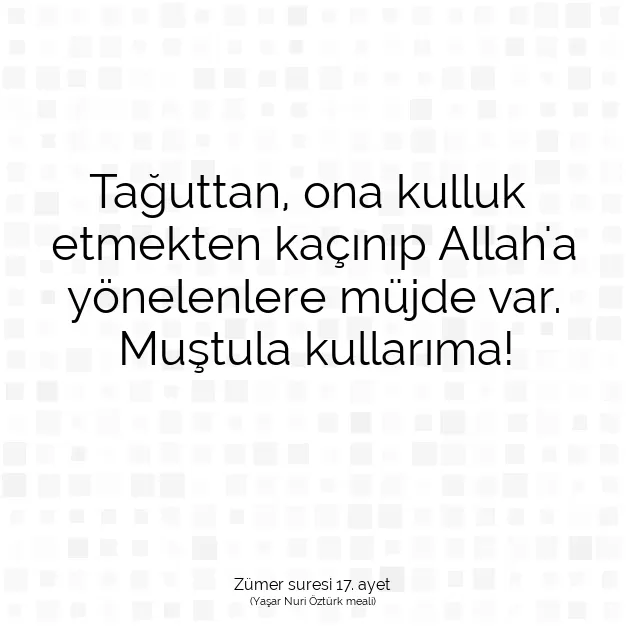 Ayetbul | Kuran Mealleri | Quran | Zümer suresi 17. ayet