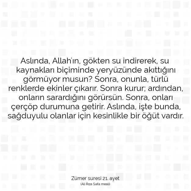 Ayetbul | Kuran Mealleri | Quran | Zümer suresi 21. ayet