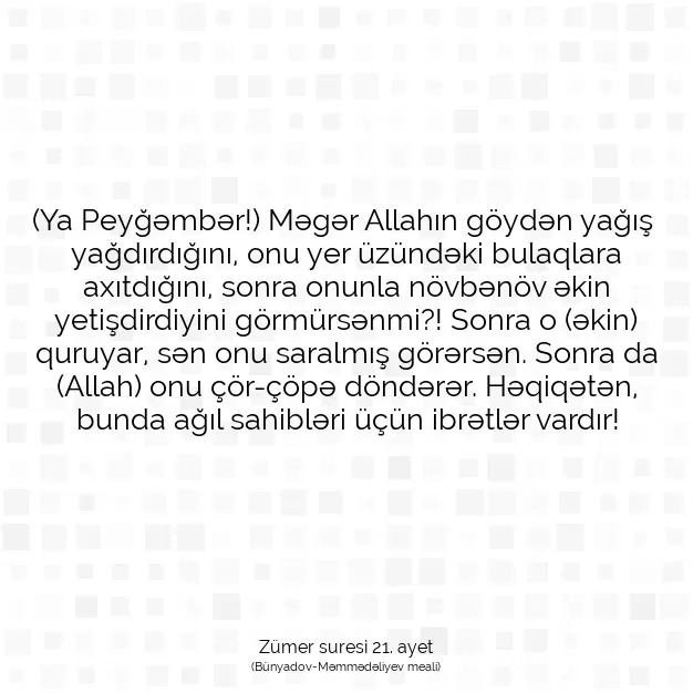 Ayetbul | Kuran Mealleri | Quran | Zümer suresi 21. ayet