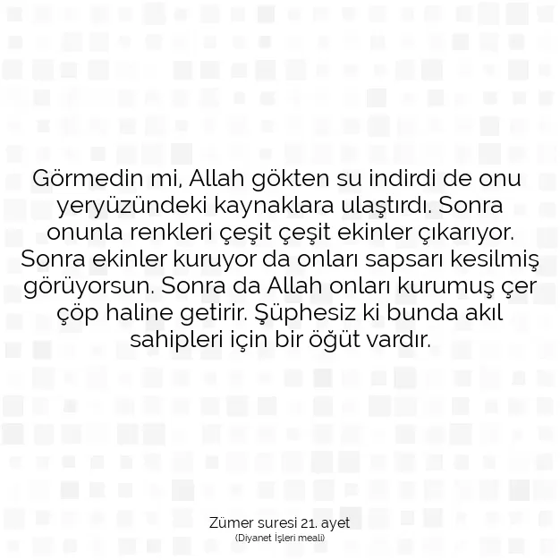 Ayetbul | Kuran Mealleri | Quran | Zümer suresi 21. ayet