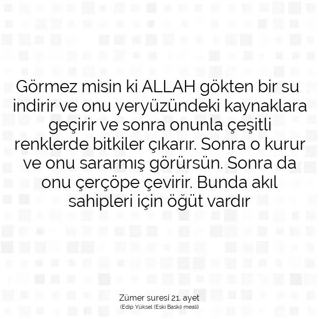 Ayetbul | Kuran Mealleri | Quran | Zümer suresi 21. ayet