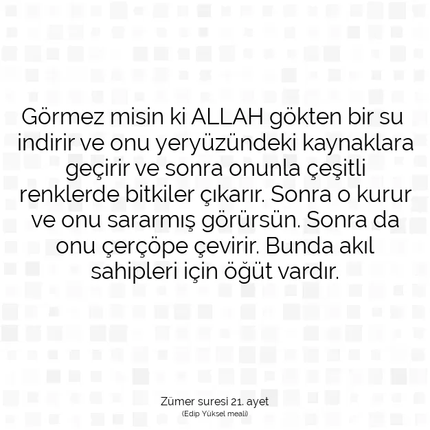 Ayetbul | Kuran Mealleri | Quran | Zümer suresi 21. ayet