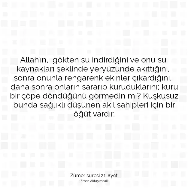 Ayetbul | Kuran Mealleri | Quran | Zümer suresi 21. ayet