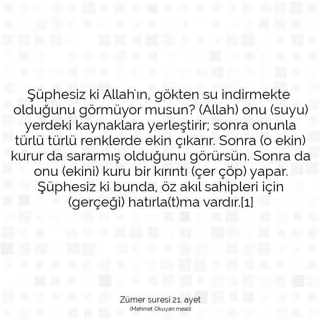 Ayetbul | Kuran Mealleri | Quran | Zümer suresi 21. ayet