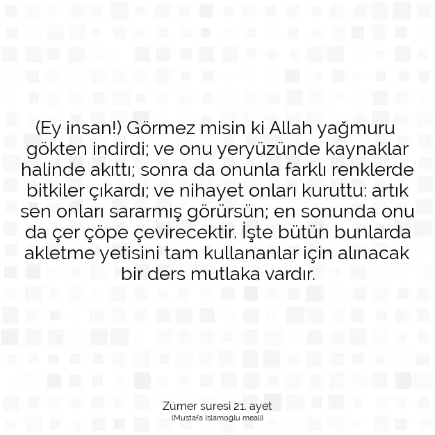 Ayetbul | Kuran Mealleri | Quran | Zümer suresi 21. ayet