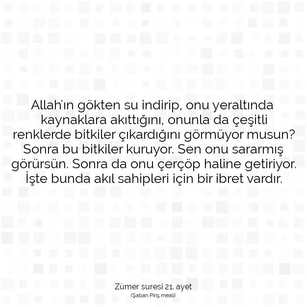 Ayetbul | Kuran Mealleri | Quran | Zümer suresi 21. ayet