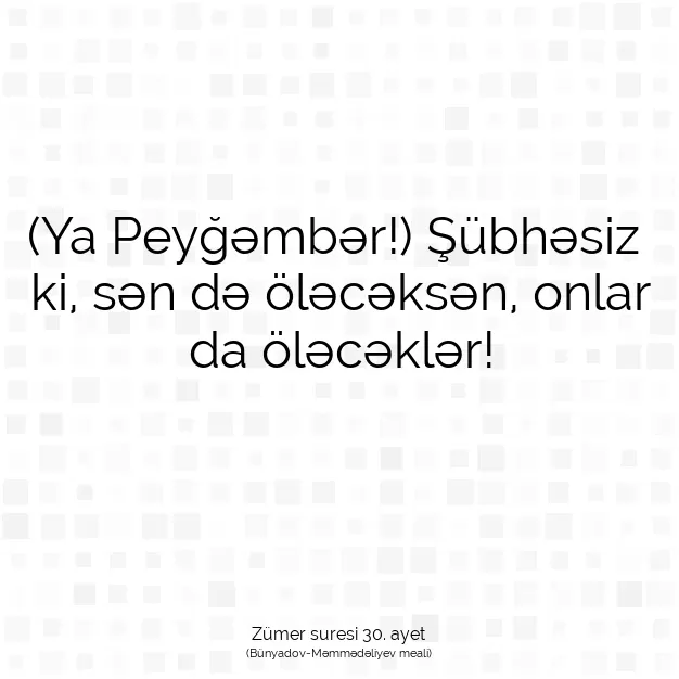 Ayetbul | Kuran Mealleri | Quran | Zümer suresi 30. ayet