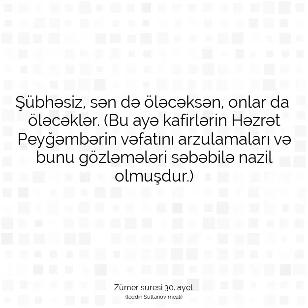 Ayetbul | Kuran Mealleri | Quran | Zümer suresi 30. ayet