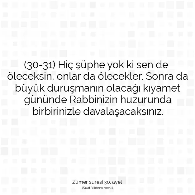 Ayetbul | Kuran Mealleri | Quran | Zümer suresi 30. ayet