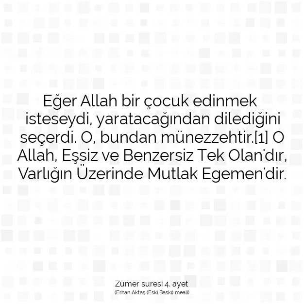 Ayetbul | Kuran Mealleri | Quran | Zümer suresi 4. ayet