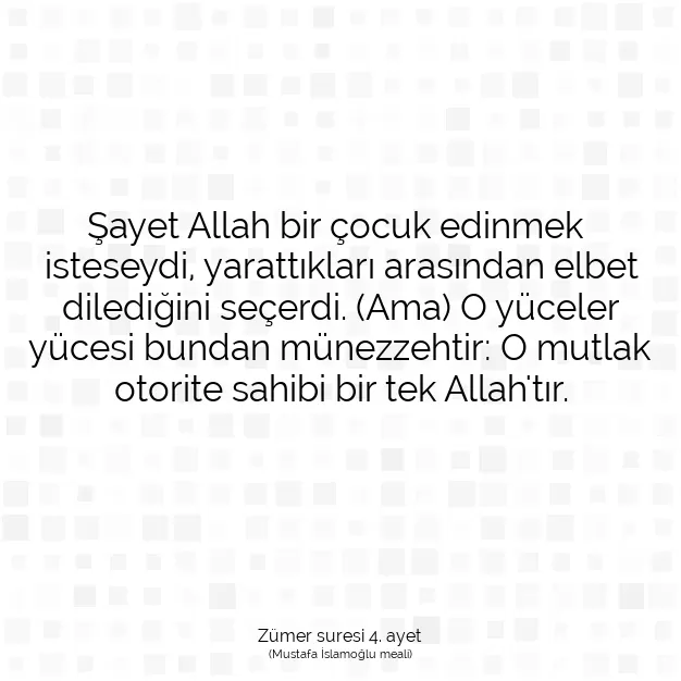 Ayetbul | Kuran Mealleri | Quran | Zümer suresi 4. ayet