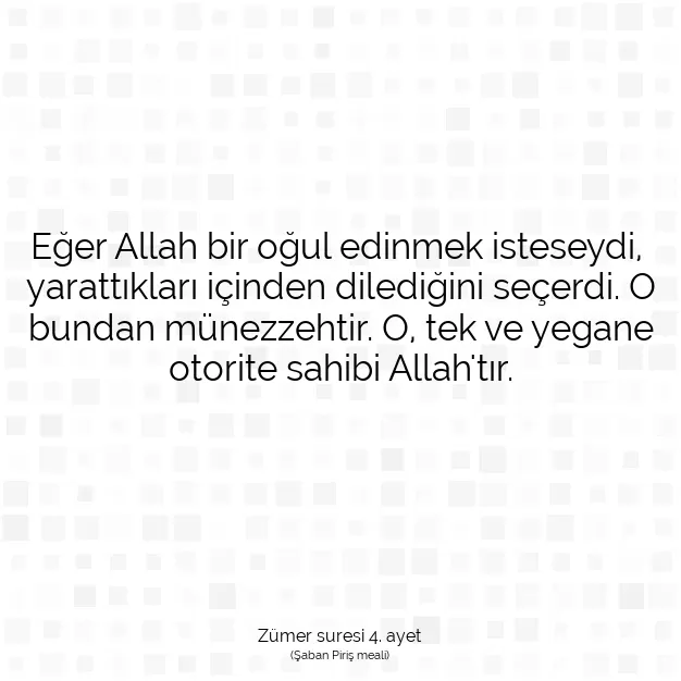 Ayetbul | Kuran Mealleri | Quran | Zümer suresi 4. ayet