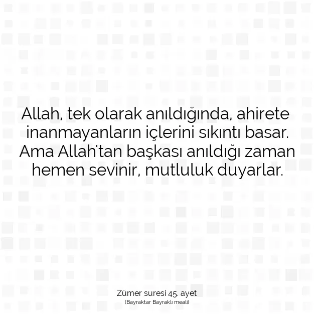 Ayetbul | Kuran Mealleri | Quran | Zümer suresi 45. ayet