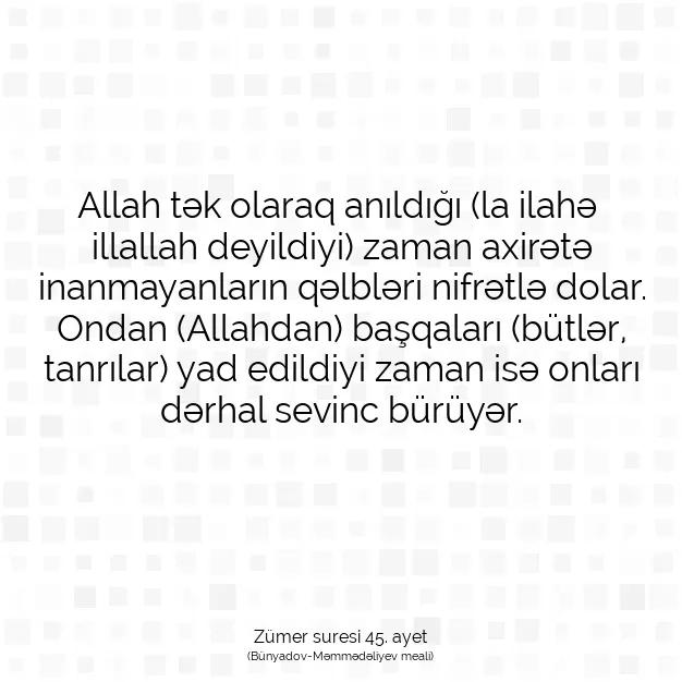 Ayetbul | Kuran Mealleri | Quran | Zümer suresi 45. ayet