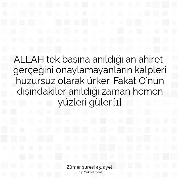 Ayetbul | Kuran Mealleri | Quran | Zümer suresi 45. ayet