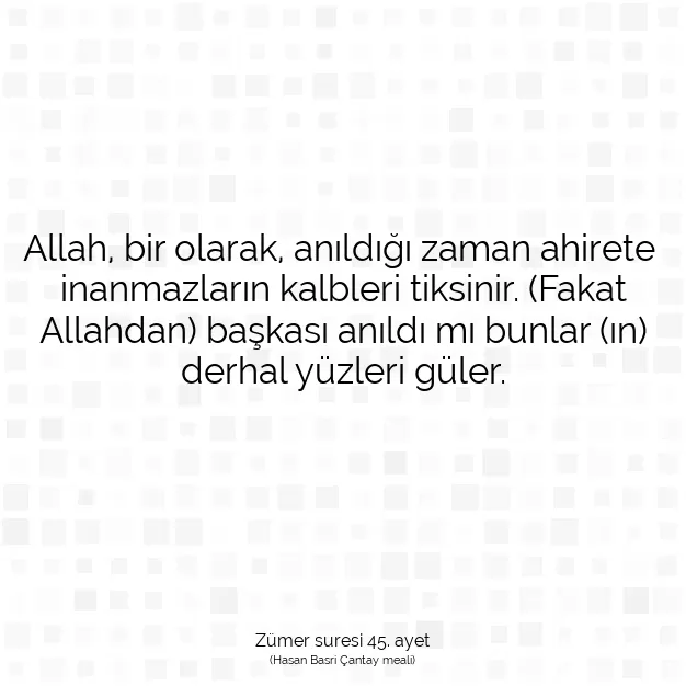 Ayetbul | Kuran Mealleri | Quran | Zümer suresi 45. ayet