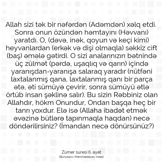 Ayetbul | Kuran Mealleri | Quran | Zümer suresi 6. ayet