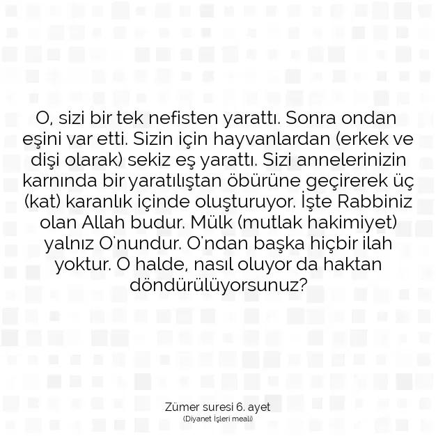 Ayetbul | Kuran Mealleri | Quran | Zümer suresi 6. ayet