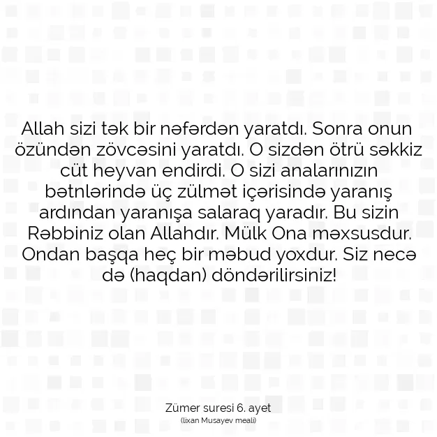 Ayetbul | Kuran Mealleri | Quran | Zümer suresi 6. ayet