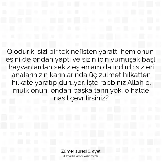 Ayetbul | Kuran Mealleri | Quran | Zümer suresi 6. ayet