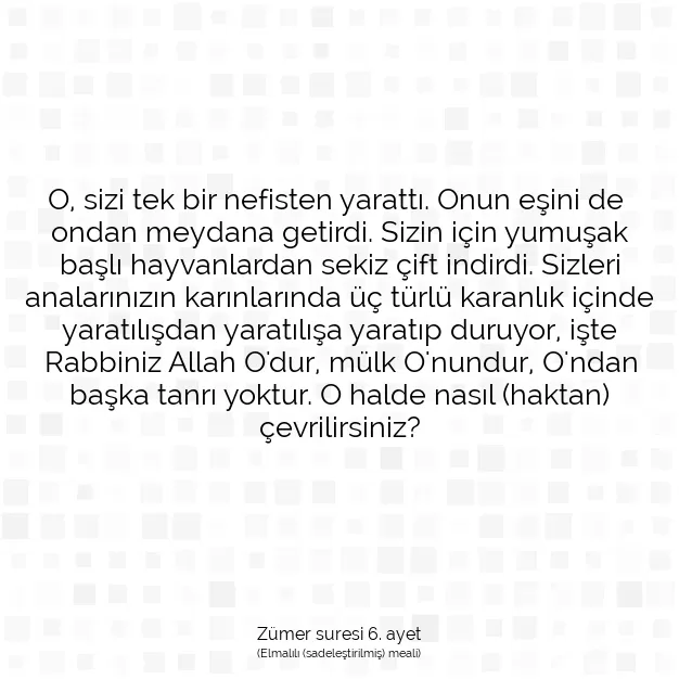 Ayetbul | Kuran Mealleri | Quran | Zümer suresi 6. ayet