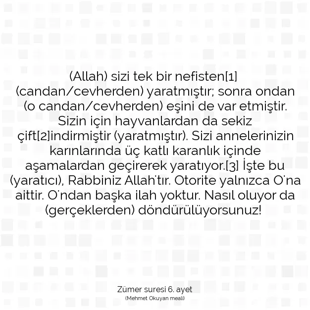 Ayetbul | Kuran Mealleri | Quran | Zümer suresi 6. ayet