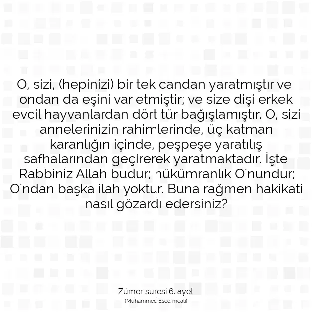 Ayetbul | Kuran Mealleri | Quran | Zümer suresi 6. ayet