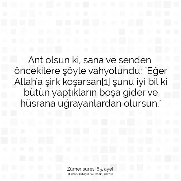 Ayetbul | Kuran Mealleri | Quran | Zümer suresi 65. ayet