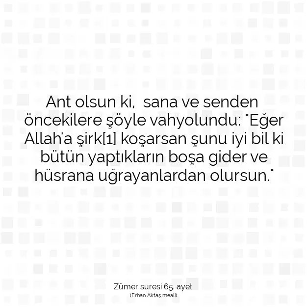 Ayetbul | Kuran Mealleri | Quran | Zümer suresi 65. ayet