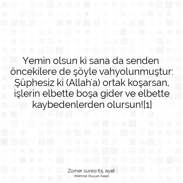 Ayetbul | Kuran Mealleri | Quran | Zümer suresi 65. ayet