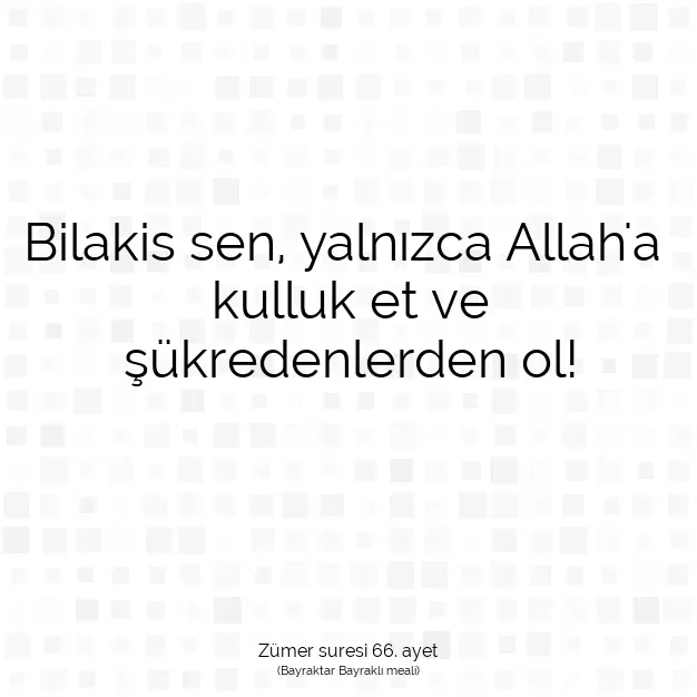 Ayetbul | Kuran Mealleri | Quran | Zümer suresi 66. ayet