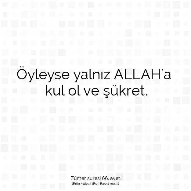 Ayetbul | Kuran Mealleri | Quran | Zümer suresi 66. ayet