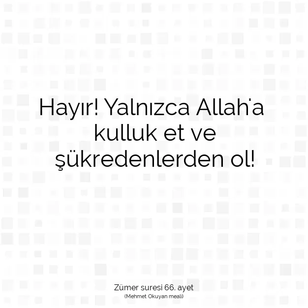 Ayetbul | Kuran Mealleri | Quran | Zümer suresi 66. ayet