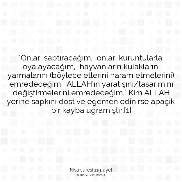 Ayetbul | Kuran Mealleri | Quran | Nisa suresi 119. ayet