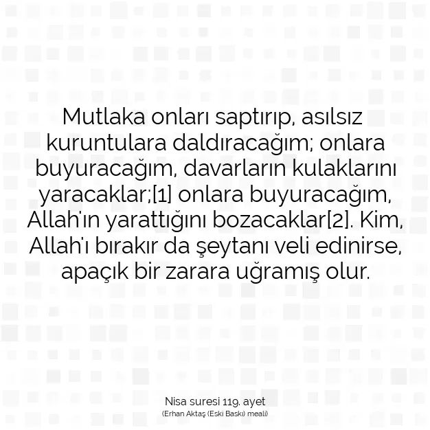 Ayetbul | Kuran Mealleri | Quran | Nisa suresi 119. ayet