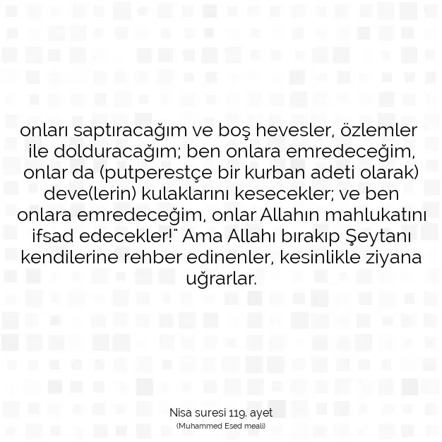 Ayetbul | Kuran Mealleri | Quran | Nisa suresi 119. ayet