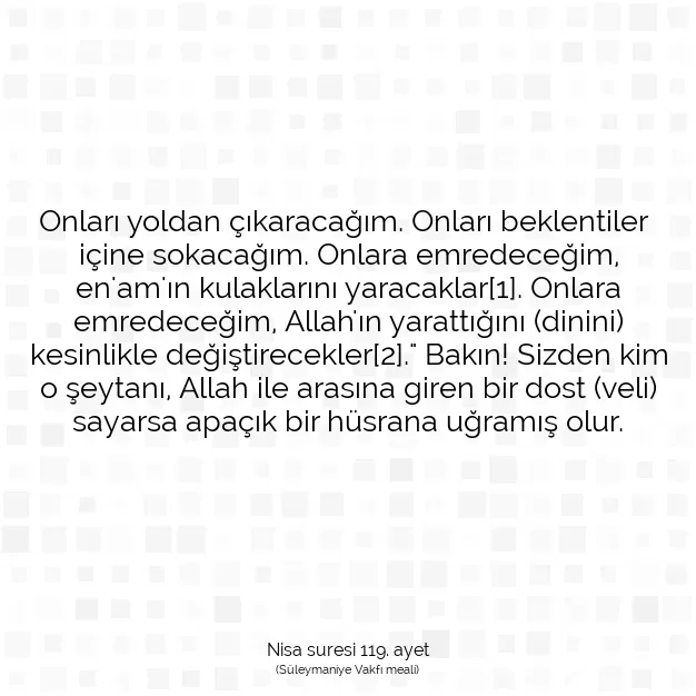 Ayetbul | Kuran Mealleri | Quran | Nisa suresi 119. ayet