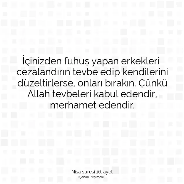 Ayetbul | Kuran Mealleri | Quran | Nisa suresi 16. ayet