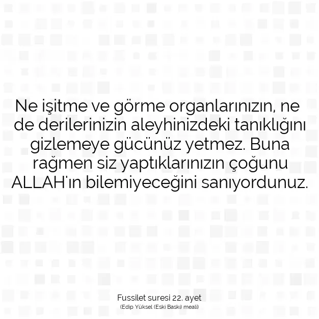 Ayetbul | Kuran Mealleri | Quran | Fussilet suresi 22. ayet