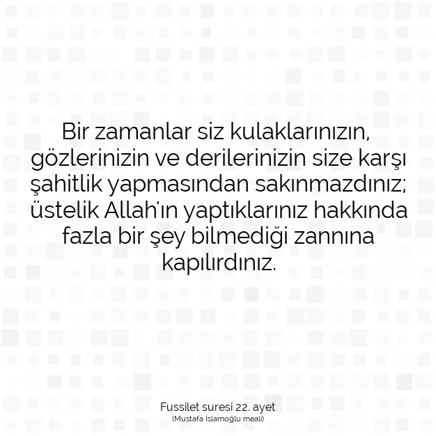 Ayetbul | Kuran Mealleri | Quran | Fussilet suresi 22. ayet