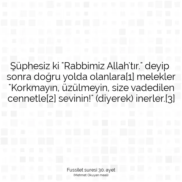 Ayetbul | Kuran Mealleri | Quran | Fussilet suresi 30. ayet