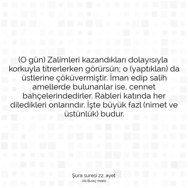 Ayetbul | Kuran Mealleri | Quran | Şura suresi 22. ayet