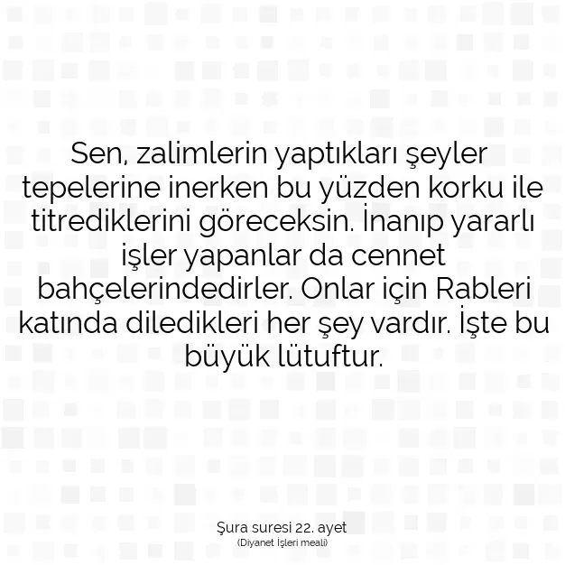 Ayetbul | Kuran Mealleri | Quran | Şura suresi 22. ayet