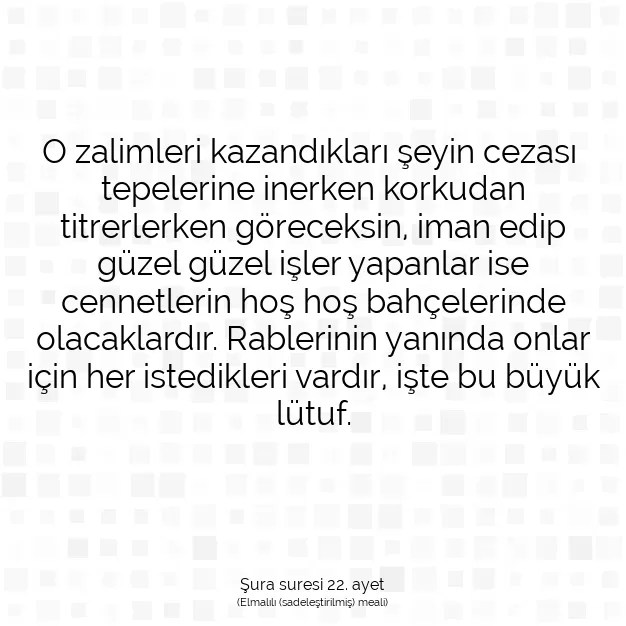 Ayetbul | Kuran Mealleri | Quran | Şura suresi 22. ayet