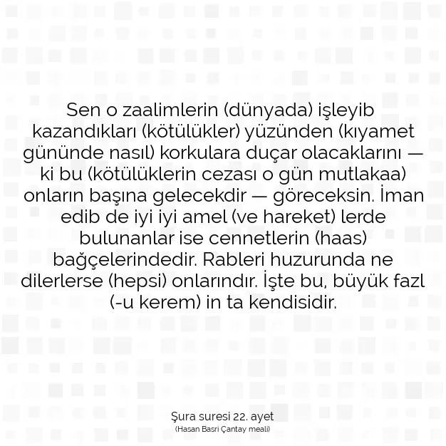 Ayetbul | Kuran Mealleri | Quran | Şura suresi 22. ayet