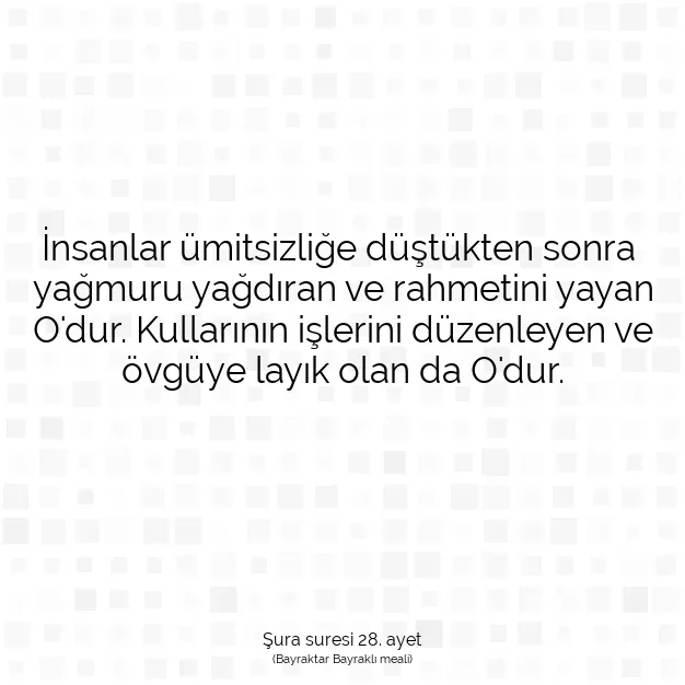 Ayetbul | Kuran Mealleri | Quran | Şura suresi 28. ayet