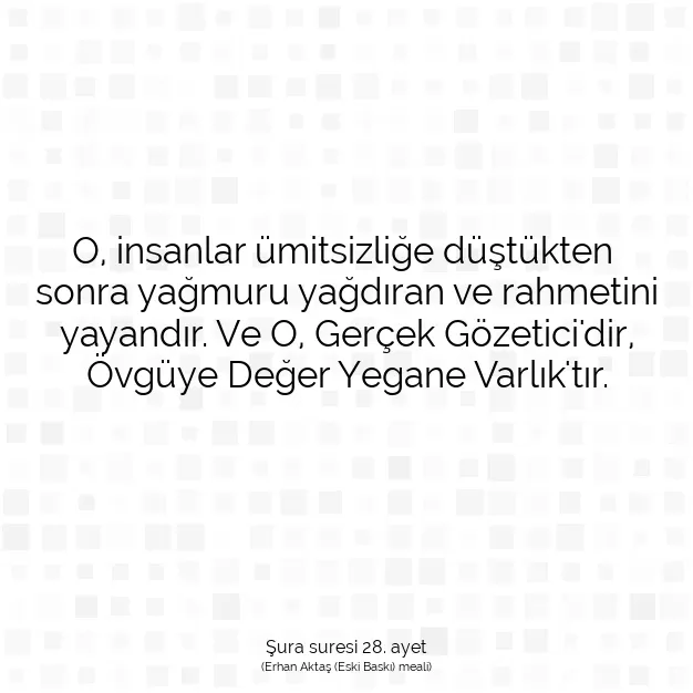 Ayetbul | Kuran Mealleri | Quran | Şura suresi 28. ayet