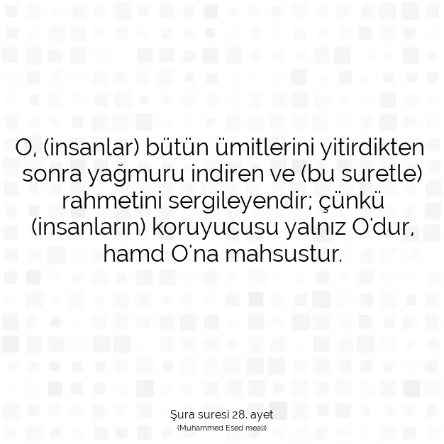 Ayetbul | Kuran Mealleri | Quran | Şura suresi 28. ayet