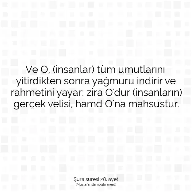 Ayetbul | Kuran Mealleri | Quran | Şura suresi 28. ayet